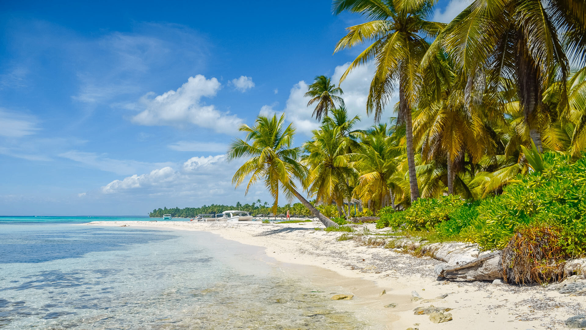 Beautiful Dominican Republic beach