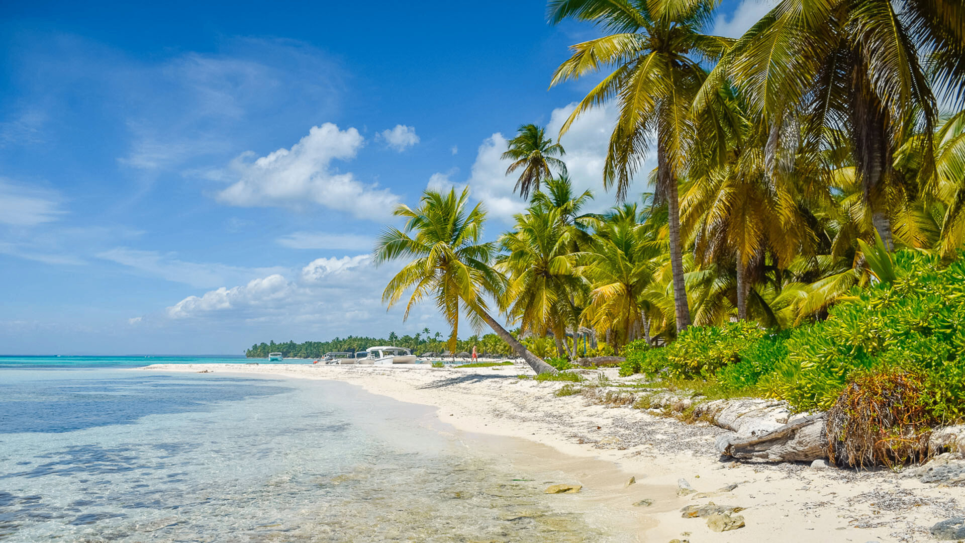 Beautiful Dominican Republic beach